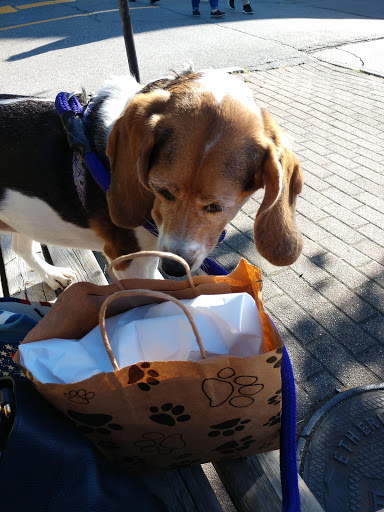 Pet Supply Store «Bark Harbor», reviews and photos, 150 Main St # 3, Bar Harbor, ME 04609, USA