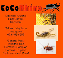 CoCo Rhino Pest Control - Photo 4 - Car repair in , Phoenix
