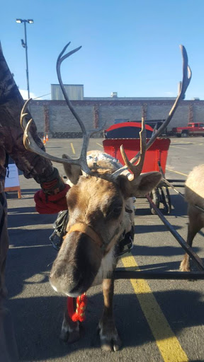 Insurance Agency «Dustin Upgren - State Farm Insurance Agent», reviews and photos