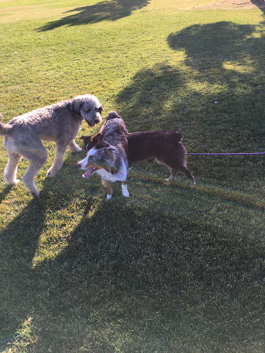 Memorial Park «Firefighters Memorial Park», reviews and photos, 6401 W Oakey Blvd, Las Vegas, NV 89146, USA