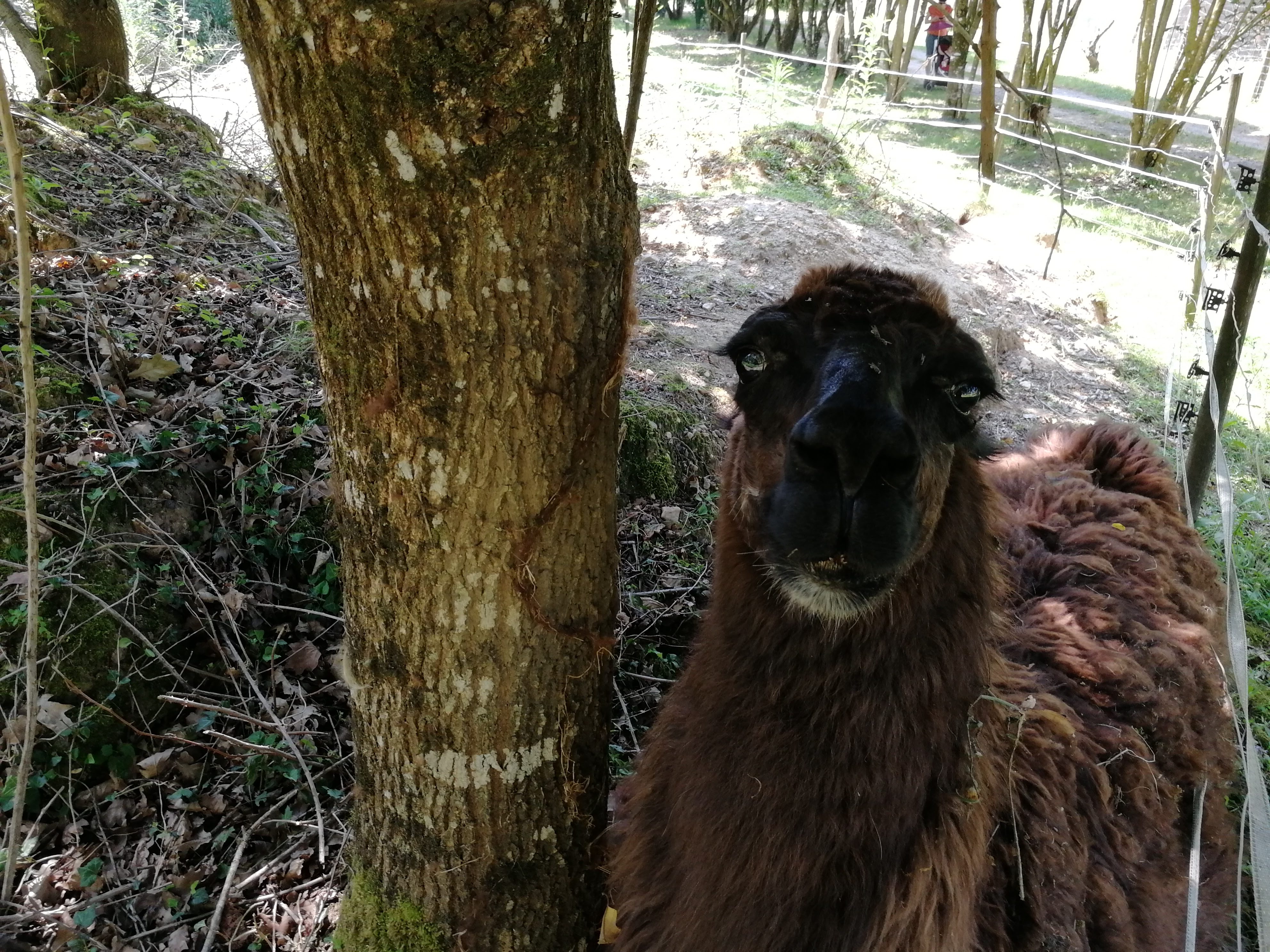 Photo n° 5 de l'avis de Sébastien.a fait le 25/07/2021 à 21:49