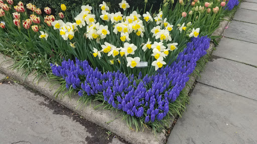 Garden «Conservatory Garden», reviews and photos, 402 5th Ave, New York, NY 10029, USA