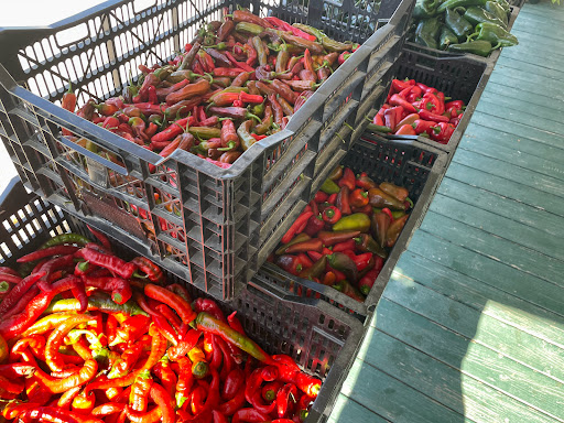 Produce Market «Mt Olympus Berry Farm», reviews and photos, 23298 Jefferson Davis Hwy, Ruther Glen, VA 22546, USA