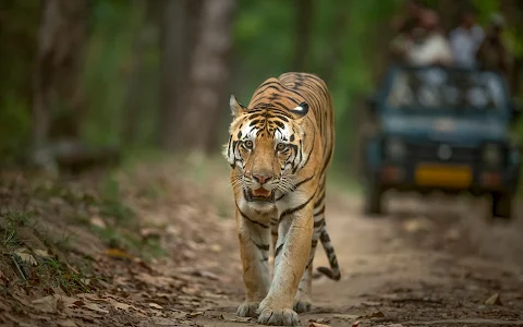 Tiger Safari India image
