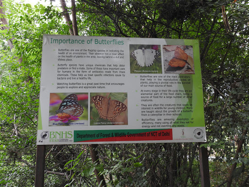 Butterfly Park, Asola Bhatti Wildlife Sanctuary