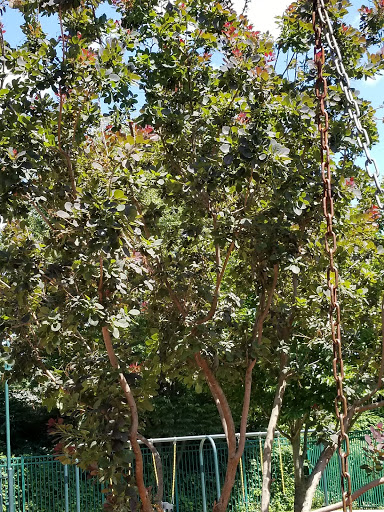 Park «Hot Dog Park», reviews and photos, 319 Lehigh Ave, Roselle Park, NJ 07204, USA