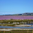 Saltworks