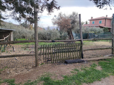 Agriturismo Antica Posta Strada Provinciale Tivoli Poli 7400, 00010 San Gregorio da Sassola RM, Italia