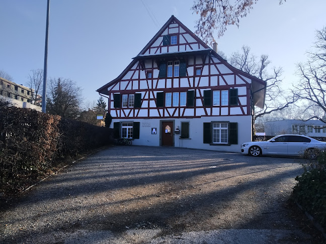 Alter Emmersberg - Schaffhausen