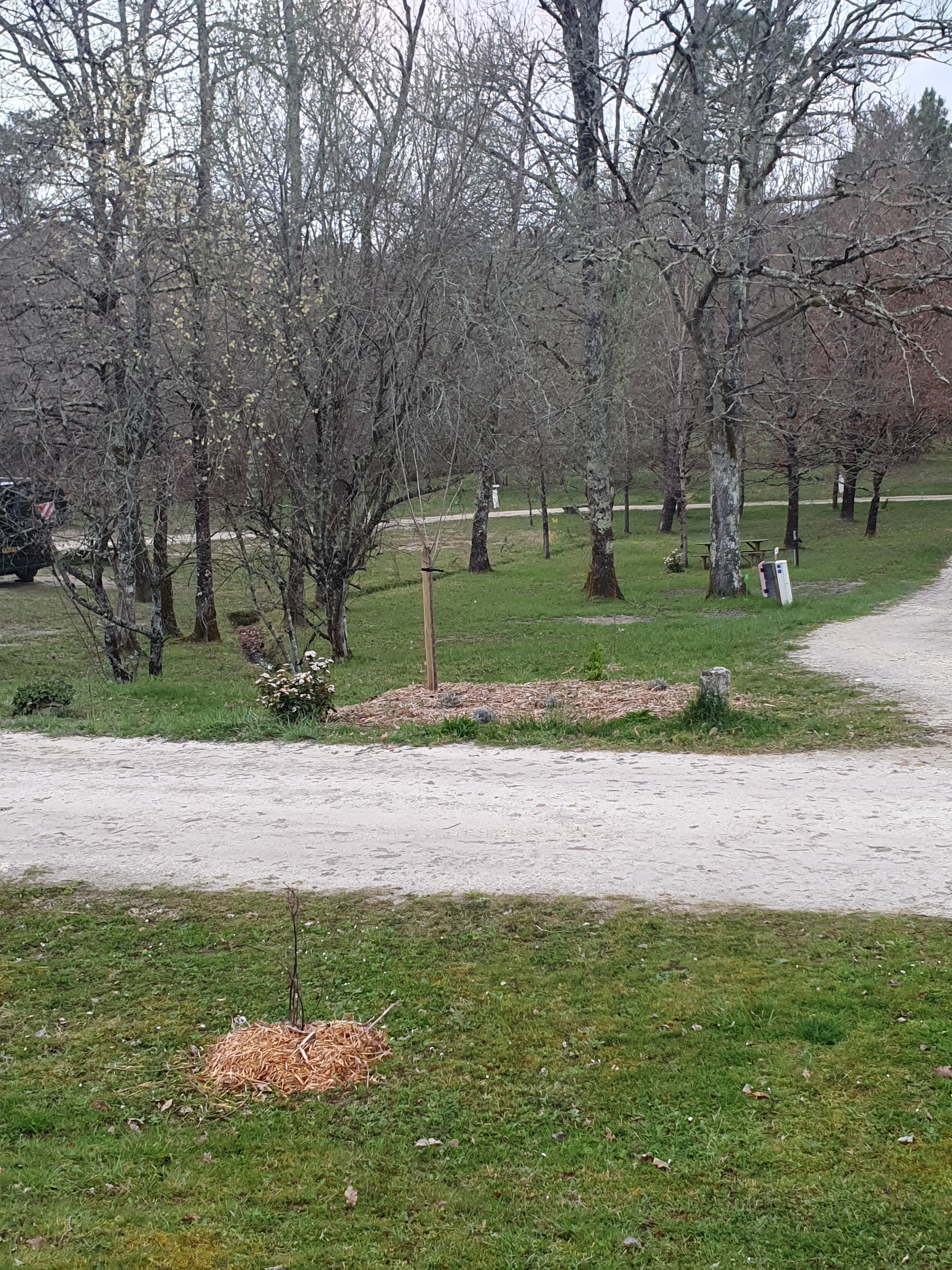 Photo n° 5 de l'avis de Hans.a fait le 26/03/2023 à 14:55