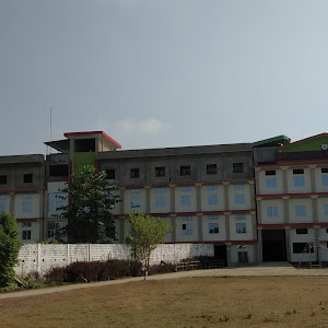 Brahmaputra Valley School photo