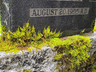 Whonnock Cemetery