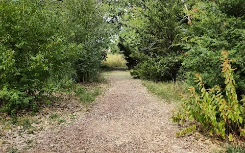 Riparian Woodland Nature Trail image