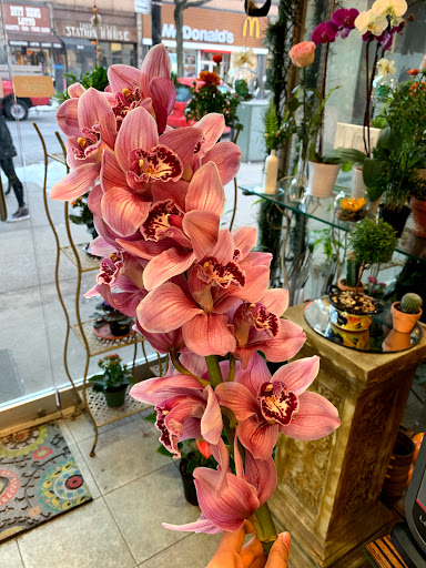 Florist «Studio Arts Florist», reviews and photos, 106-14 71st Ave, Forest Hills, NY 11375, USA