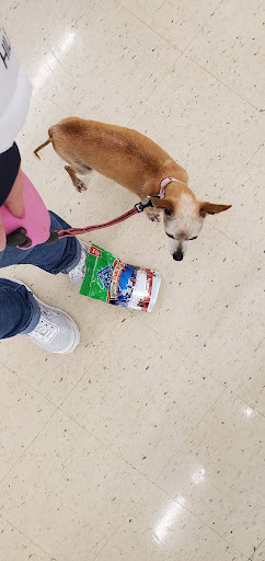 Pet Supply Store «PetSmart», reviews and photos, 215 N Burkhardt Rd, Evansville, IN 47715, USA