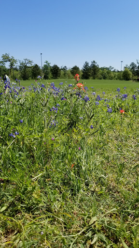 Water Park «Rob Fleming Aquatic Center», reviews and photos, 6535 Creekside Forest Dr, The Woodlands, TX 77389, USA