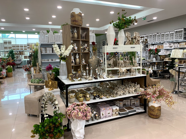 CHINA STAR - Castelo Branco