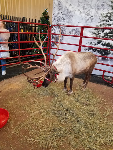 Department Store «Coastal Farm & Ranch», reviews and photos, 3865 OR-8, Cornelius, OR 97113, USA