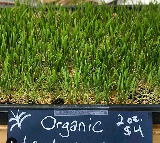 Vitamin & Supplements Store «Harvest Health Foods», reviews and photos, 73910 CA-111 D, Palm Desert, CA 92260, USA