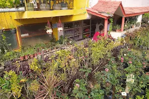 Swamy Nursery Garden & Aquarium image