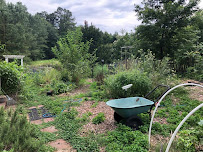 The Earthius Project: Regenerative Landscaping