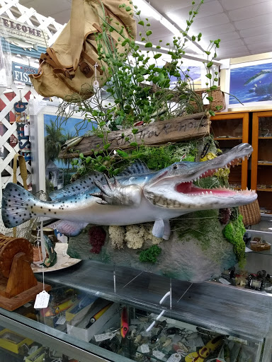 Shopping Mall «Searstown Mall», reviews and photos, 3550 S Washington Ave, Titusville, FL 32780, USA