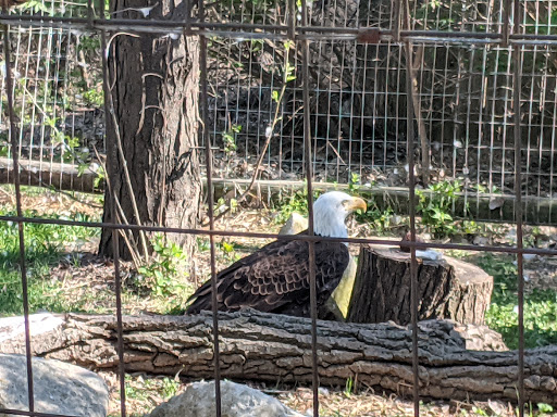 Zoo «Sedgwick County Zoo», reviews and photos, 5555 Zoo Boulevard, Wichita, KS 67212, USA