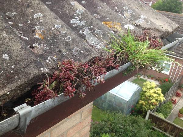 Comments and reviews of Southern Gutters (FastDry Services)