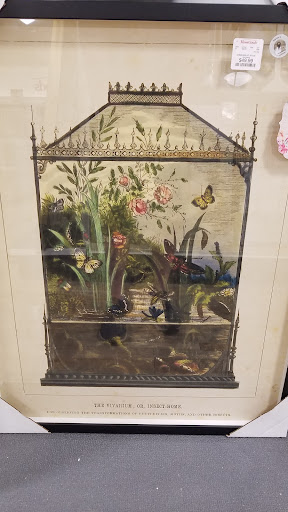 Department Store «HomeGoods», reviews and photos, 1945 W Lumsden Rd, Brandon, FL 33511, USA