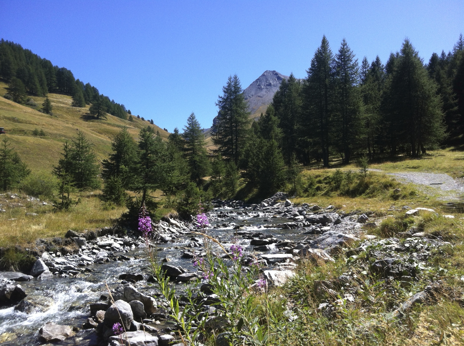 Photo n° 1 de l'avis de X. fait le 28/03/2023 à 10:12