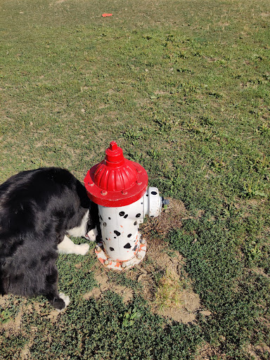 Park «Scioto Audubon Metro Park.», reviews and photos, 400 W Whittier St, Columbus, OH 43215, USA