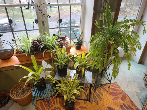 Garden Center «Victoria Gardens», reviews and photos, 1 Cottekill Rd, Rosendale, NY 12472, USA