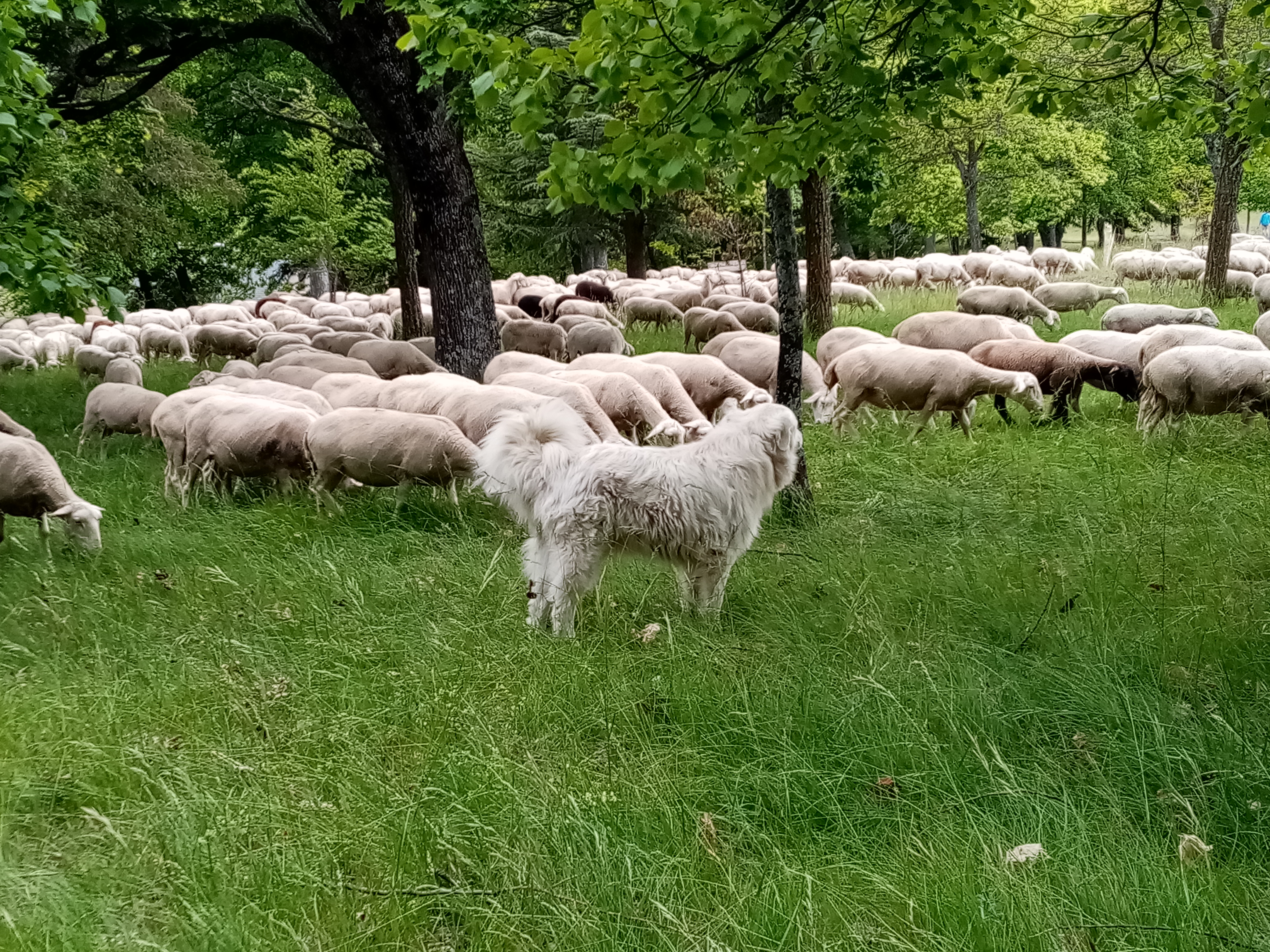 Photo n° 3 de l'avis de François.e fait le 19/05/2023 à 20:57
