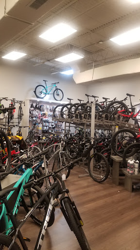 Bicycle Store «City Bikes Pembroke Pines», reviews and photos, 671 NW 100th Pl, Hollywood, FL 33024, USA