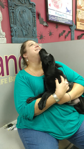 Pet Store «Petland», reviews and photos, 920 Hebron Rd, Heath, OH 43056, USA