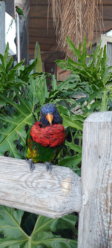 Gift Shop «Pacific Collections Gift Shop», reviews and photos, 100 Aquarium Way, Long Beach, CA 90802, USA