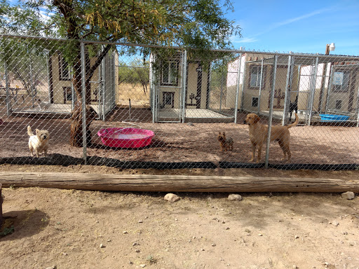 Lisa's Country Grooming and Boarding