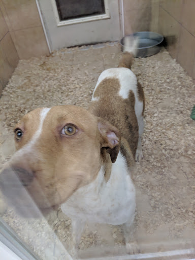 Pet Store «Pets Plus - Quakertown», reviews and photos, 117 S West End Blvd, Quakertown, PA 18951, USA