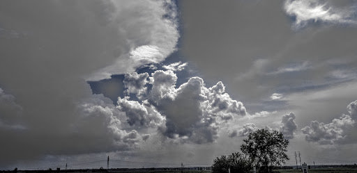 Nature Preserve «Audubon Center at Riverlands», reviews and photos, 301 Riverlands Way, West Alton, MO 63386, USA