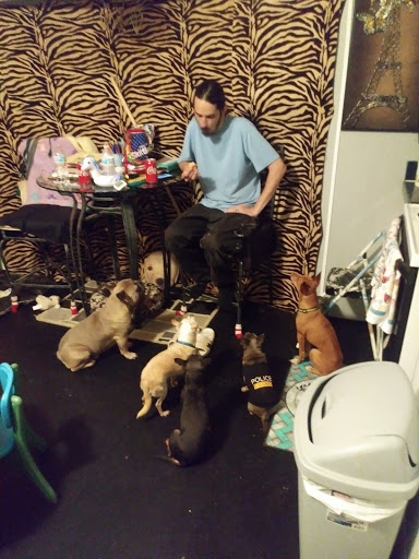 Pet Supply Store «Pet Supplies Plus», reviews and photos, 1500 E Court St Suite 720, Seguin, TX 78155, USA