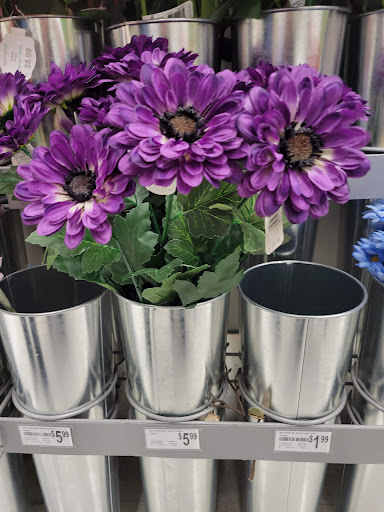 Craft Store «Michaels», reviews and photos, 1700 Deming Way #120, Middleton, WI 53562, USA