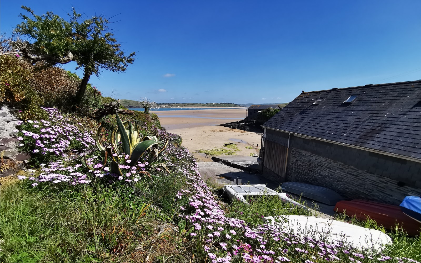 Hawker's Cove, Padstow'in fotoğrafı küçük koy ile birlikte