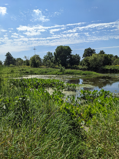 Park «Hammel Woods - DuPage River Access», reviews and photos, 23435 Black Road, Shorewood, IL 60431, USA