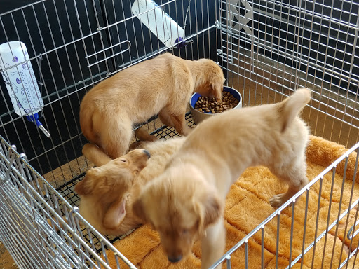 Pet Supply Store «Pet Ranch», reviews and photos, 3823 E 120th Ave, Denver, CO 80233, USA