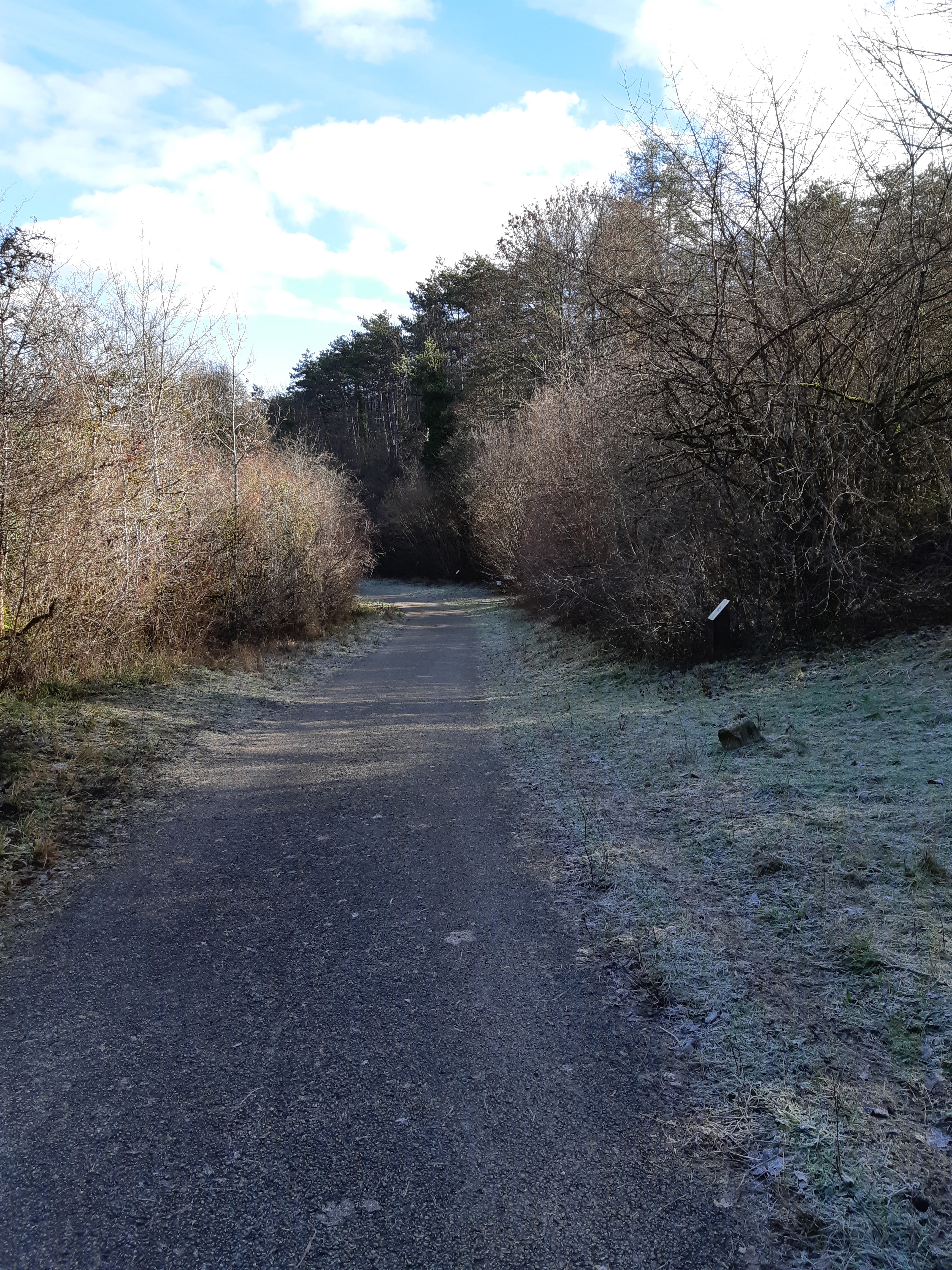 Photo n° 1 de l'avis de Brigitte.e fait le 14/02/2021 à 08:52
