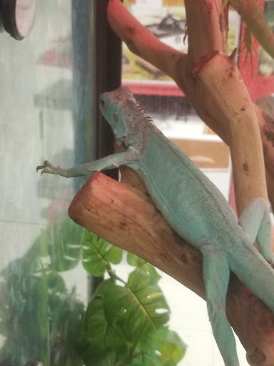 Pet Supply Store «Petco Animal Supplies», reviews and photos, 3380 124th Ave NW, Coon Rapids, MN 55433, USA