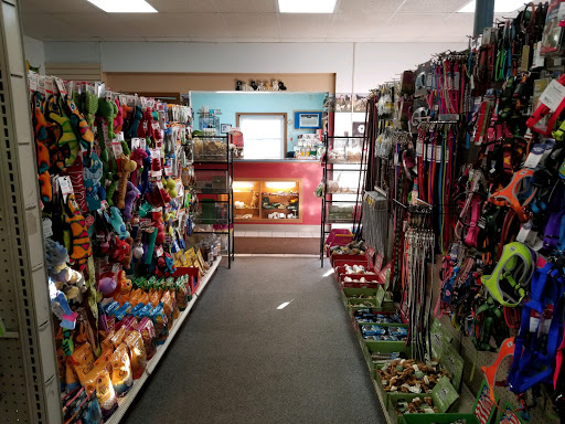 F-M Dog Obedience School, 1214 Main Ave, Moorhead, MN 56560, USA, 