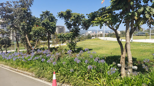 Florist «Convention Floral», reviews and photos, 5932 3rd St NW, Washington, DC 20011, USA