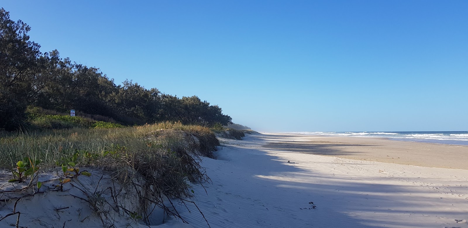 Wooyung Beach'in fotoğrafı vahşi alan