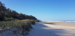 Wooyung Beach'in fotoğrafı vahşi alan